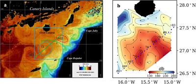 Drivers of Plankton Distribution Across Mesoscale Eddies at Submesoscale Range